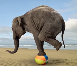 elephant-balance1